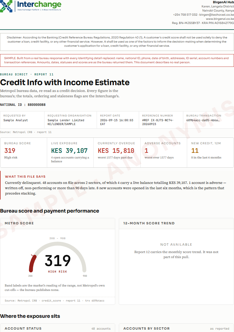 Page one of the Credit Info with Income Estimate sample
