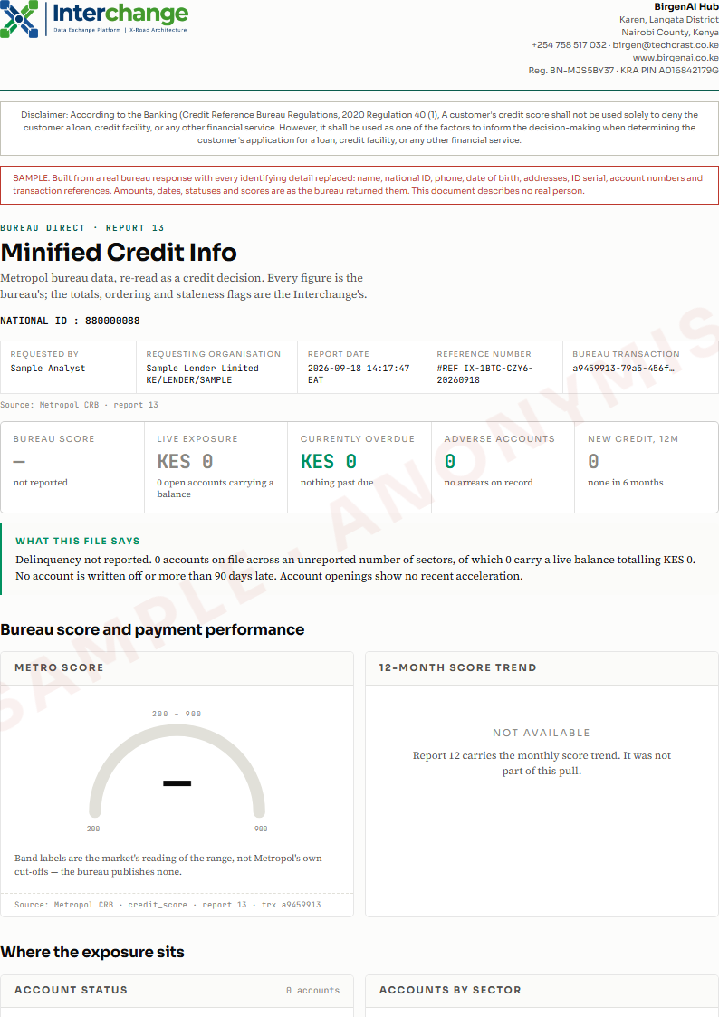 Page one of the Minified Credit Info sample