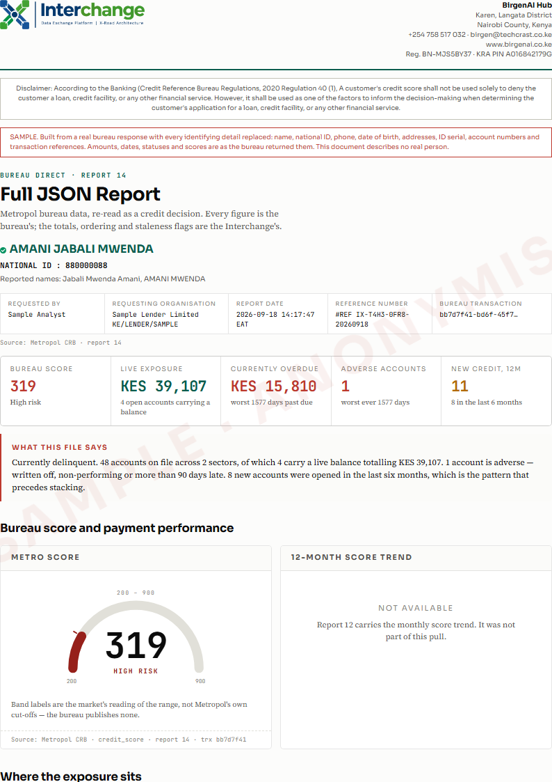 Page one of the Full JSON Report sample