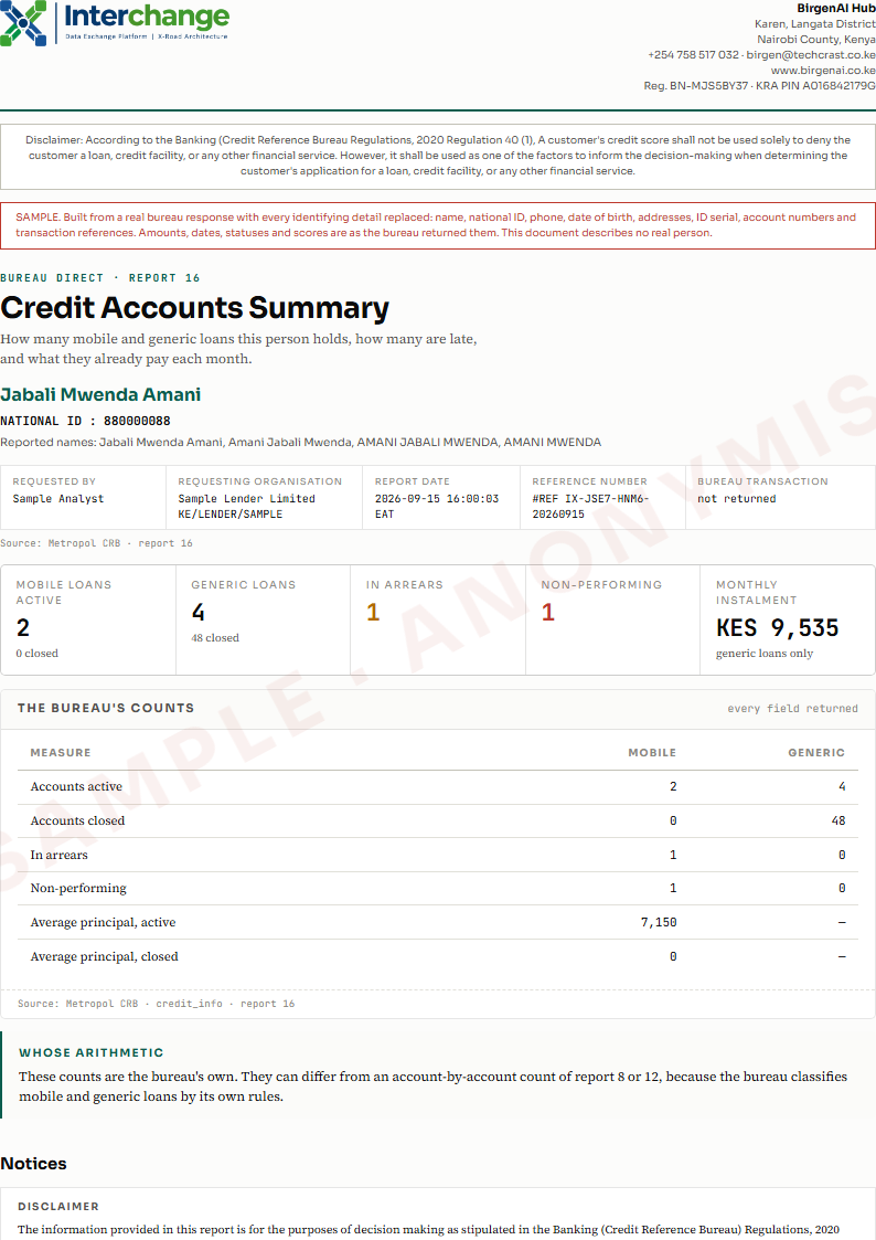 Page one of the Credit Accounts Summary sample