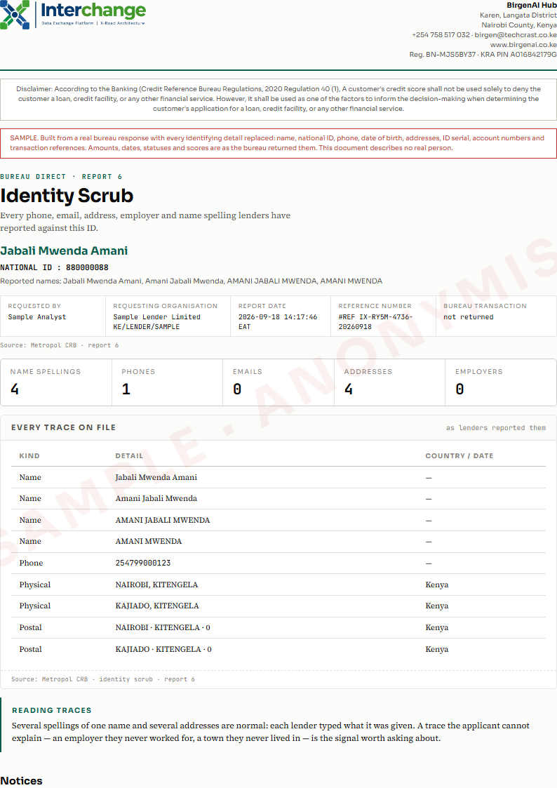Page one of the Identity Scrub sample
