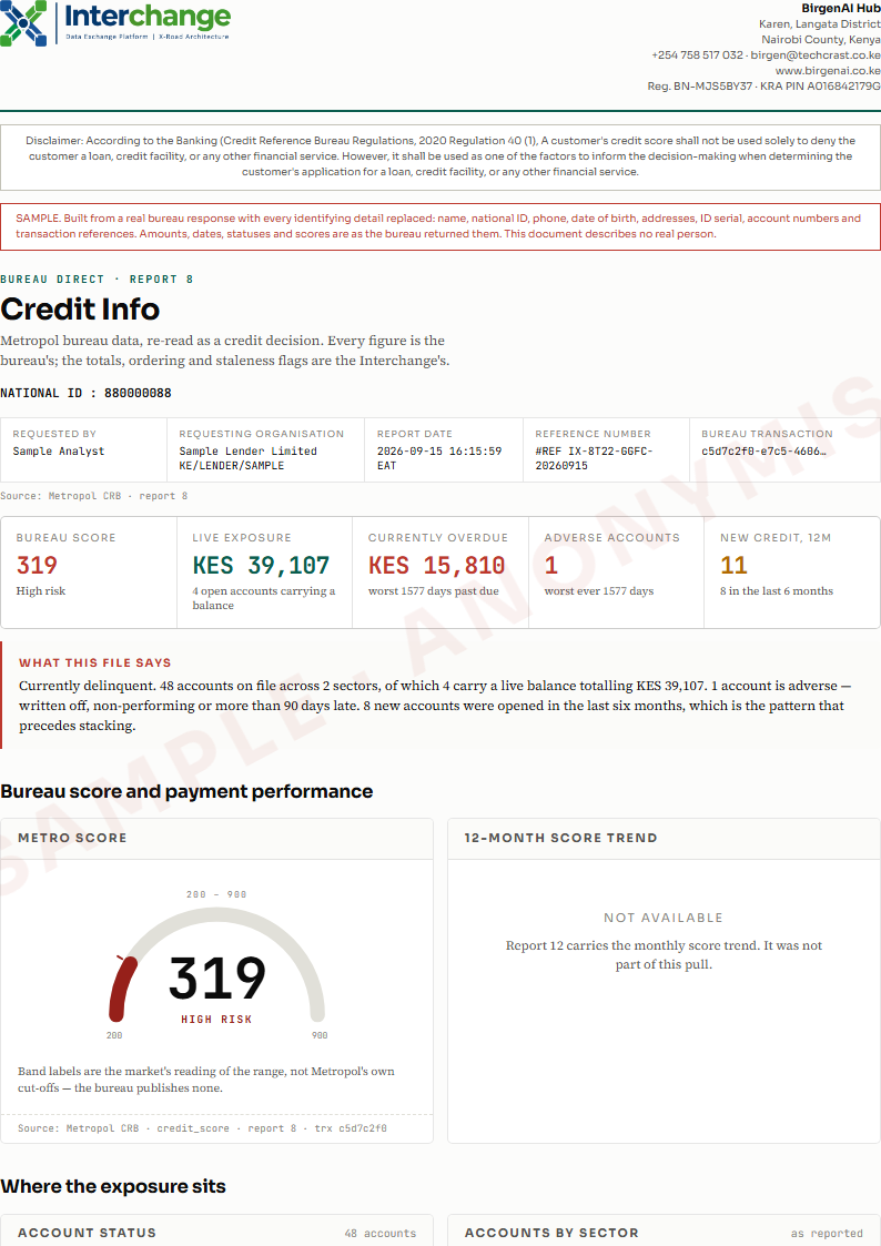 Page one of the Credit Info sample